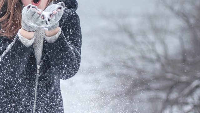 Formelliklerimi nasıl yenileyebilirim?